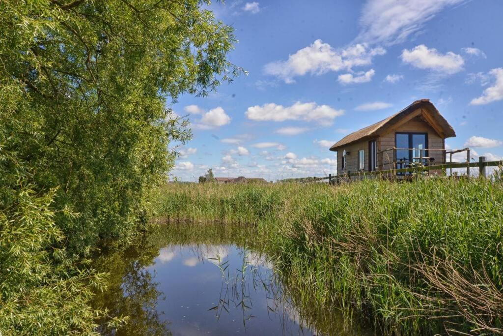 Tiny In De Polders Villa Zuienkerke Eksteriør bilde